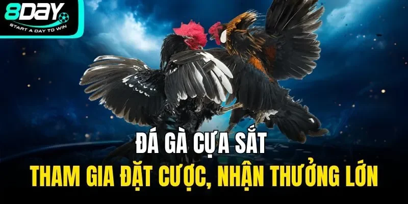 đá gà cựa sắt