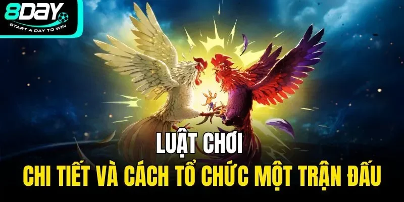 Luật chơi chi tiết và cách tổ chức một trận đấu