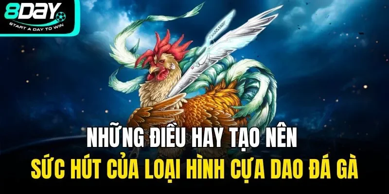 Những điều hay tạo nên sức hút của loại hình cựa dao đá gà