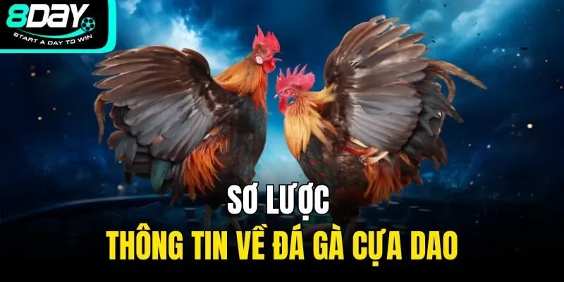 Sơ lược thông tin về đá gà cựa dao