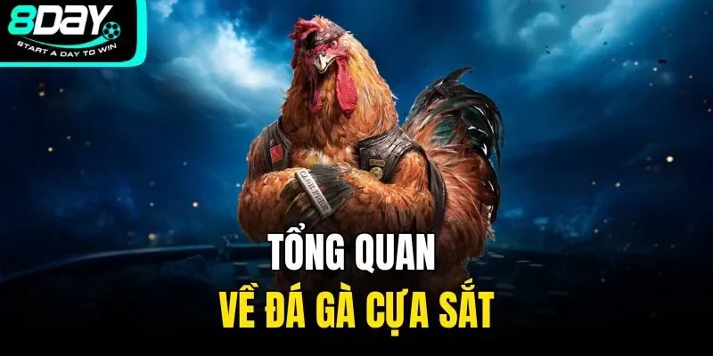 Tổng quan về đá gà cựa sắt
