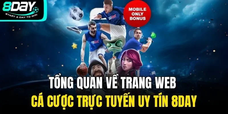 Tổng quan về trang web cá cược trực tuyến uy tín 8Day